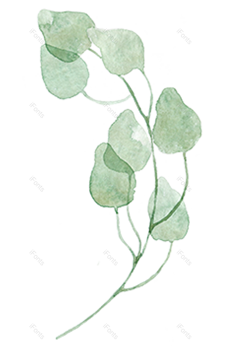 叶子图片,绿叶元素,花草PNG,水彩免抠素材